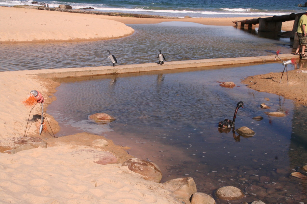 'Waterbirds' by Libby Bloxham, as displayed at Thirroul beach (2006). A group of sculptures assembled from discarded and recycled materials depicting various species of water-dwelling birds. They are posed outdoors, in the flow of water where human-built pools meet the naturally-formed beach beyond.